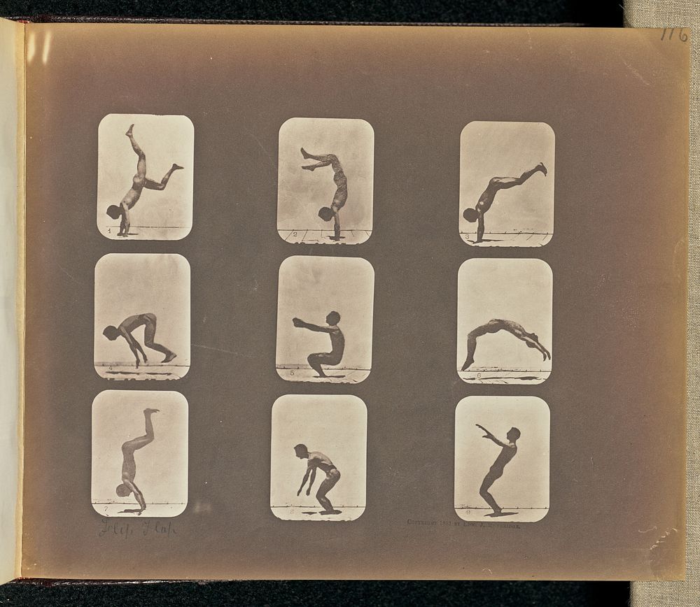 Flip Flap by Eadweard J Muybridge