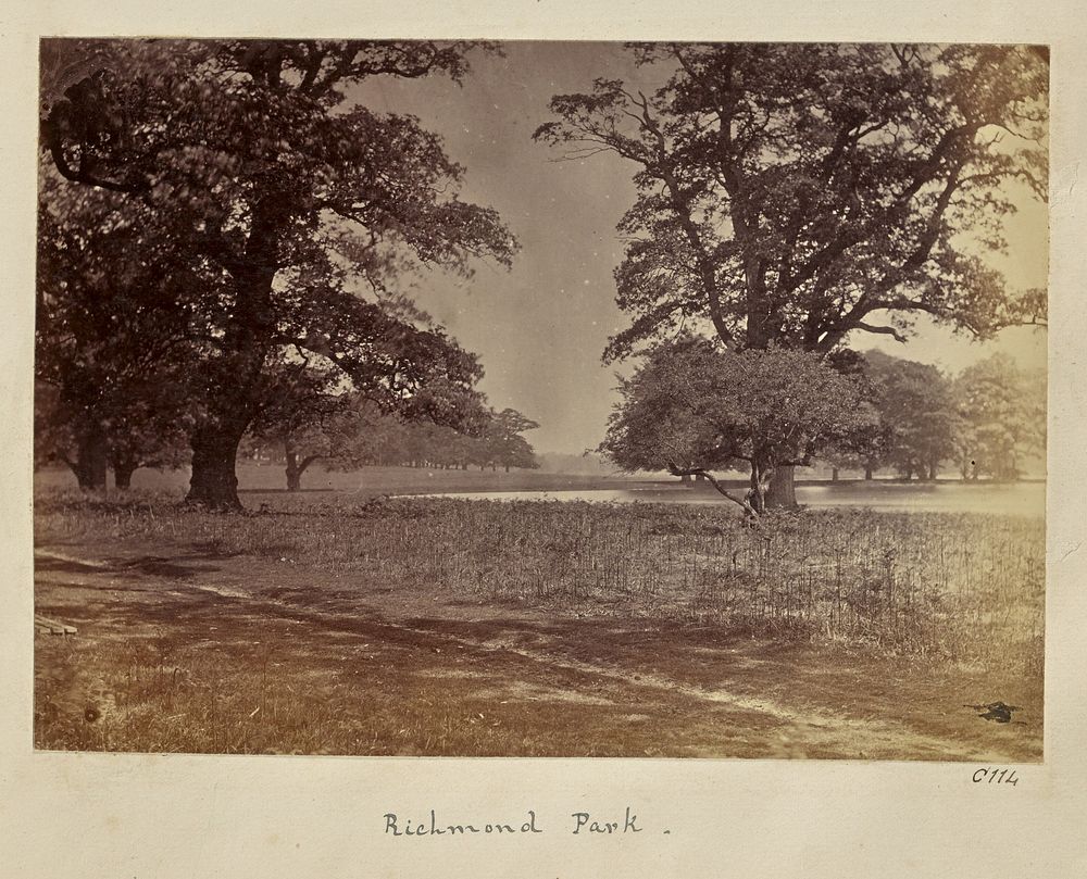 Richmond Park by Ronald Ruthven Leslie Melville