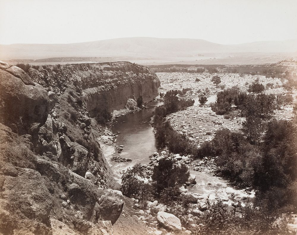 Untitled [stream landscape] by Carleton Watkins