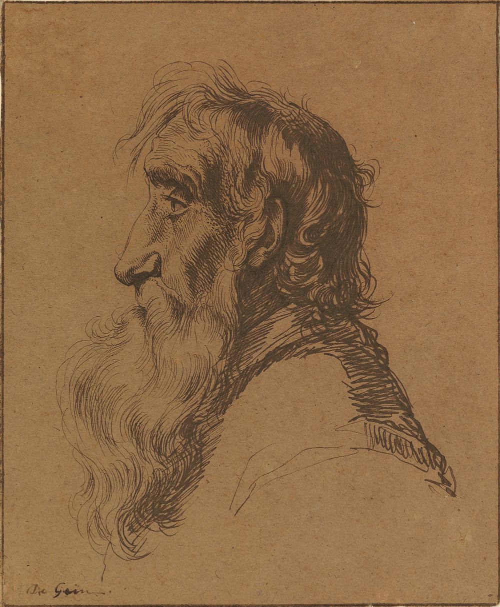 Head of an Old Man by Jacques de Gheyn III