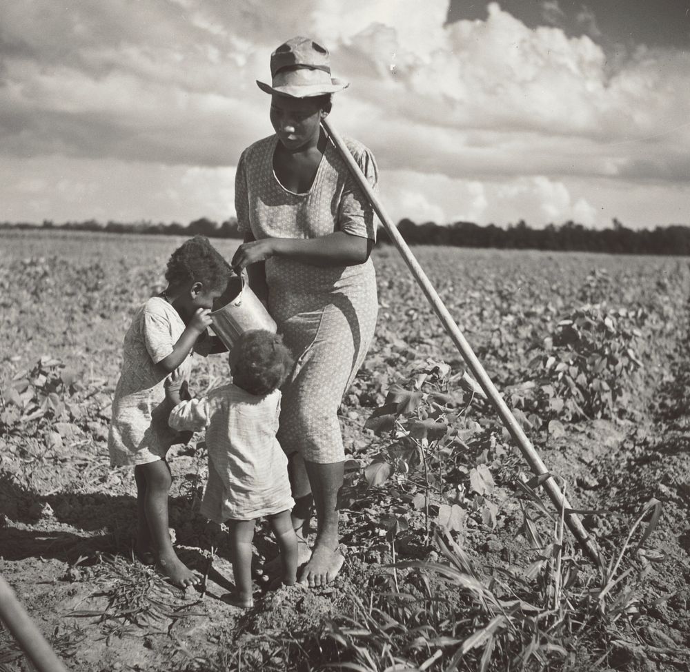 Black Woman Giving Her Children a Drink in the Field Where She's Hoeing Cotton on an FSA Cooperative Project (Allen…