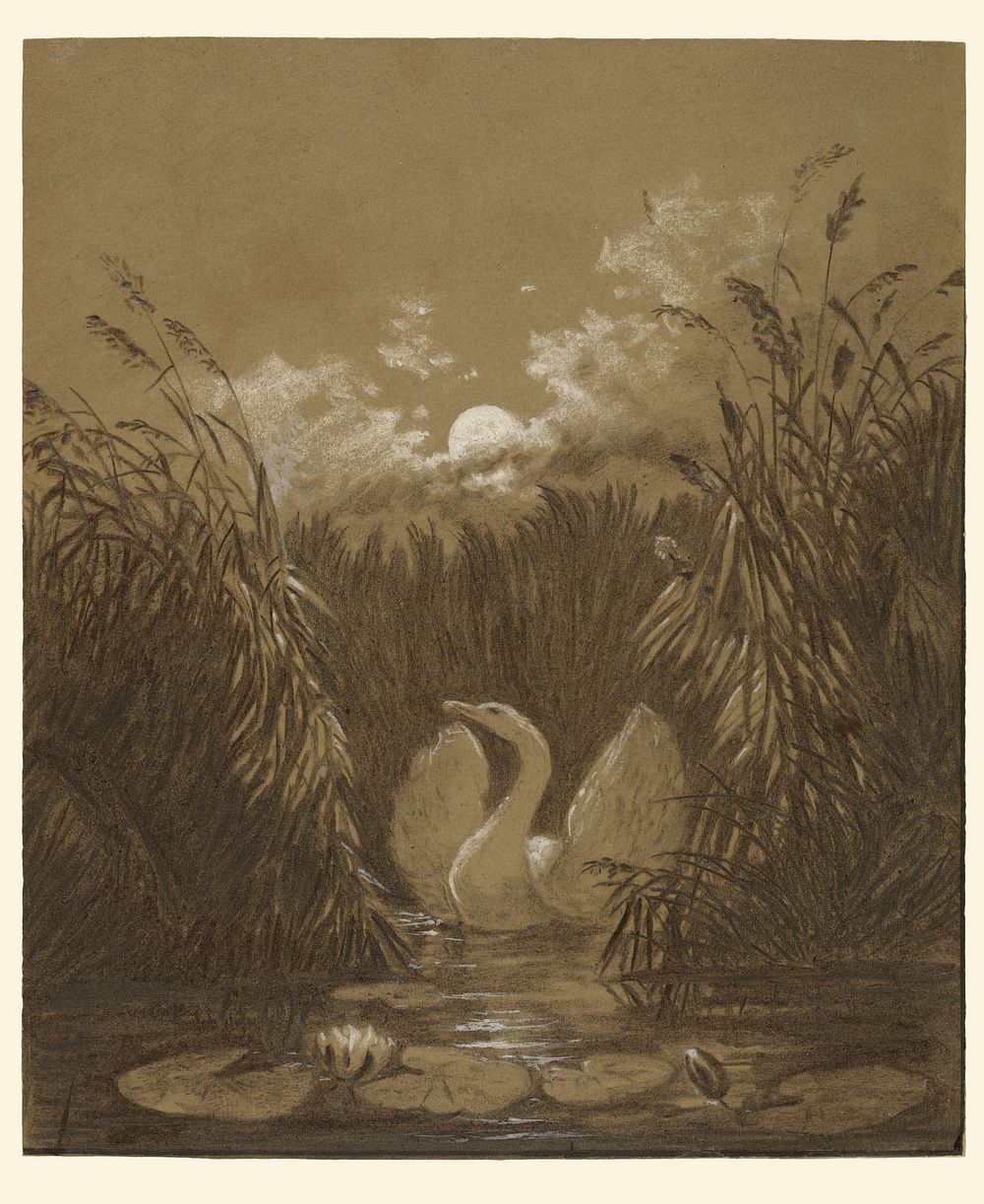A Swan Among the Reeds, by Moonlight by Carl Gustav Carus