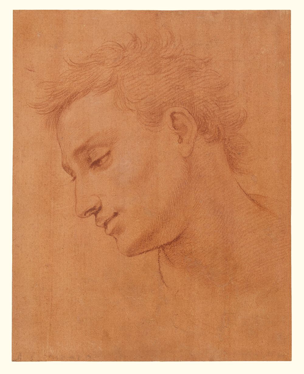 Head of Man in Profile to the Left by Girolamo Macchietti