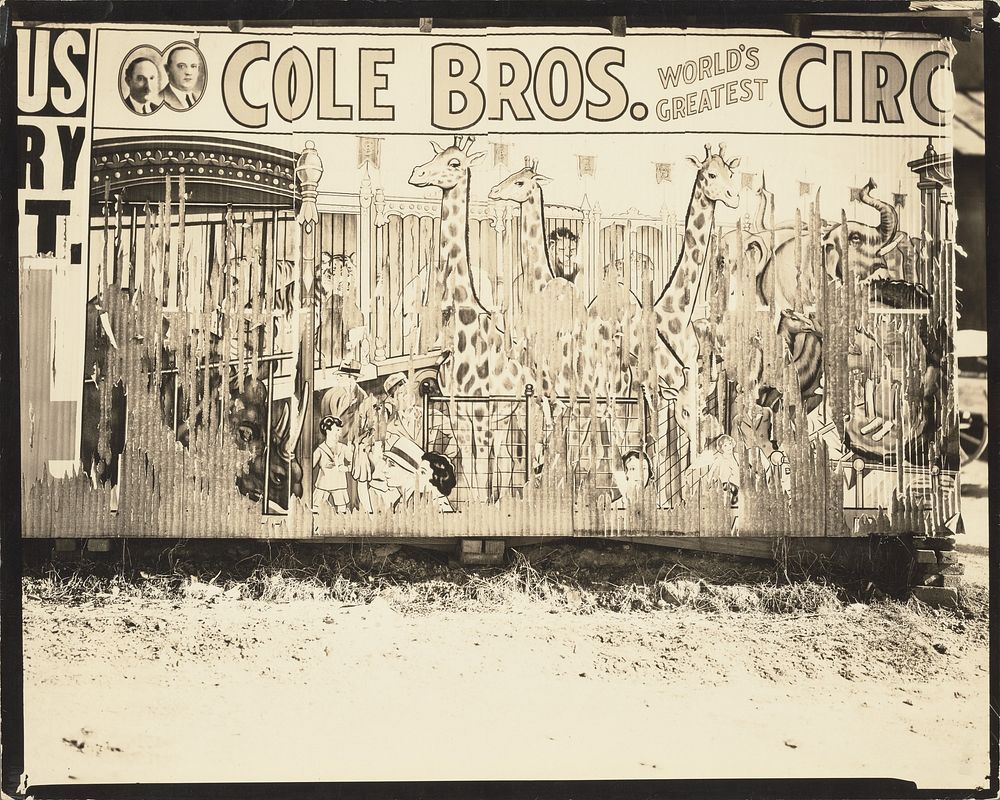 Cole Brothers Circus Poster by Walker Evans