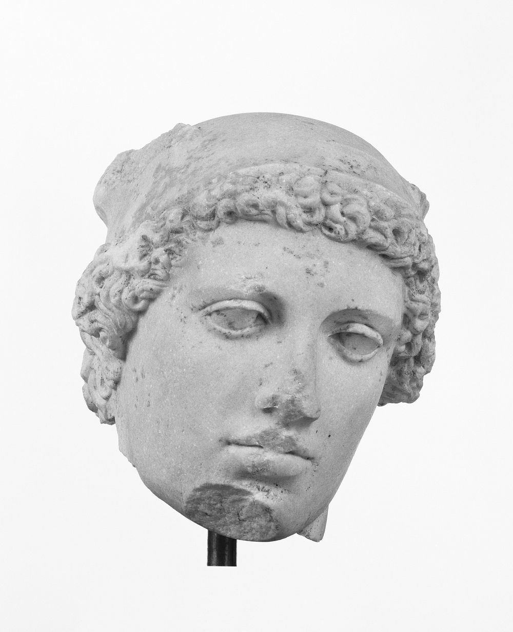 Head of the So-Called Perseus (Phidian Hermes?)
