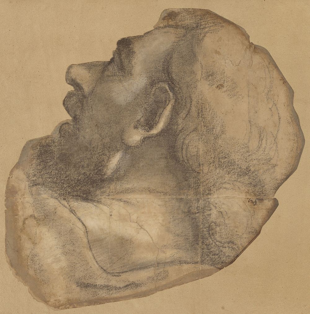 Cartoon for the Head of Saint James by Sebastiano del Piombo