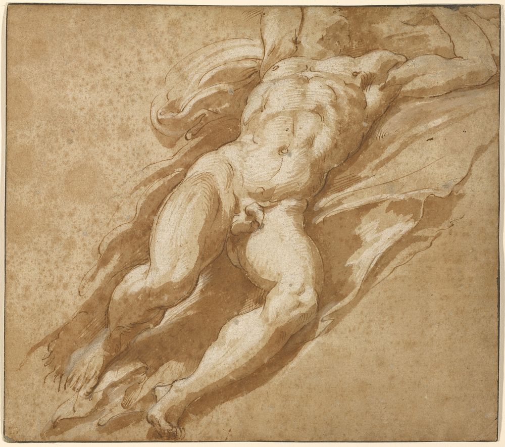Figure Study by Parmigianino Francesco Mazzola