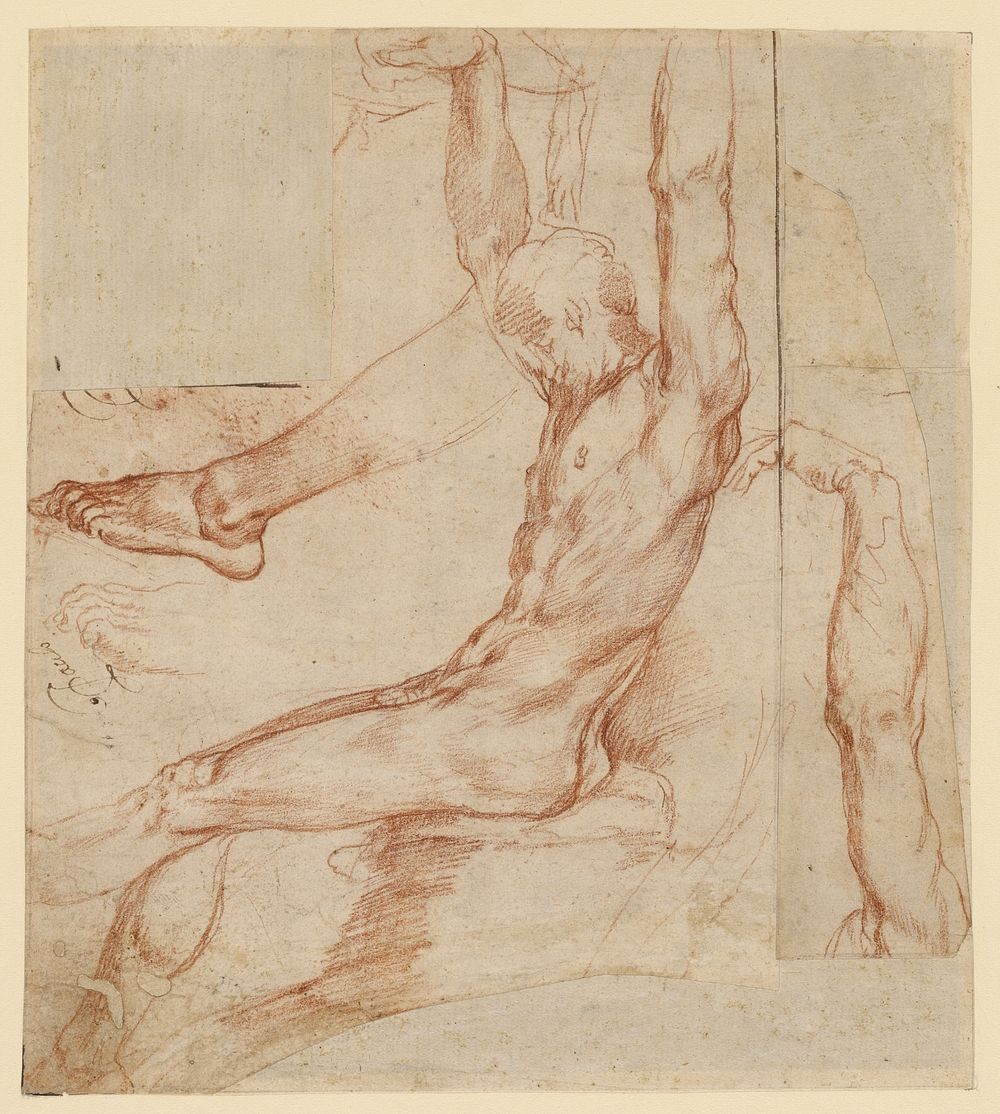 Study of a Man with Various Sketches (recto); Study of a Man's Draped Leg (verso) by Polidoro da Caravaggio Polidoro Caldara
