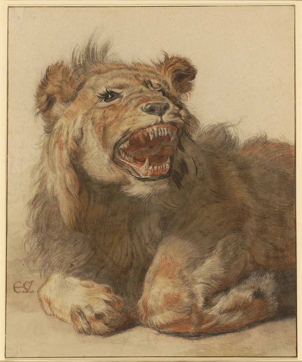 A Lion Snarling by Cornelis Saftleven