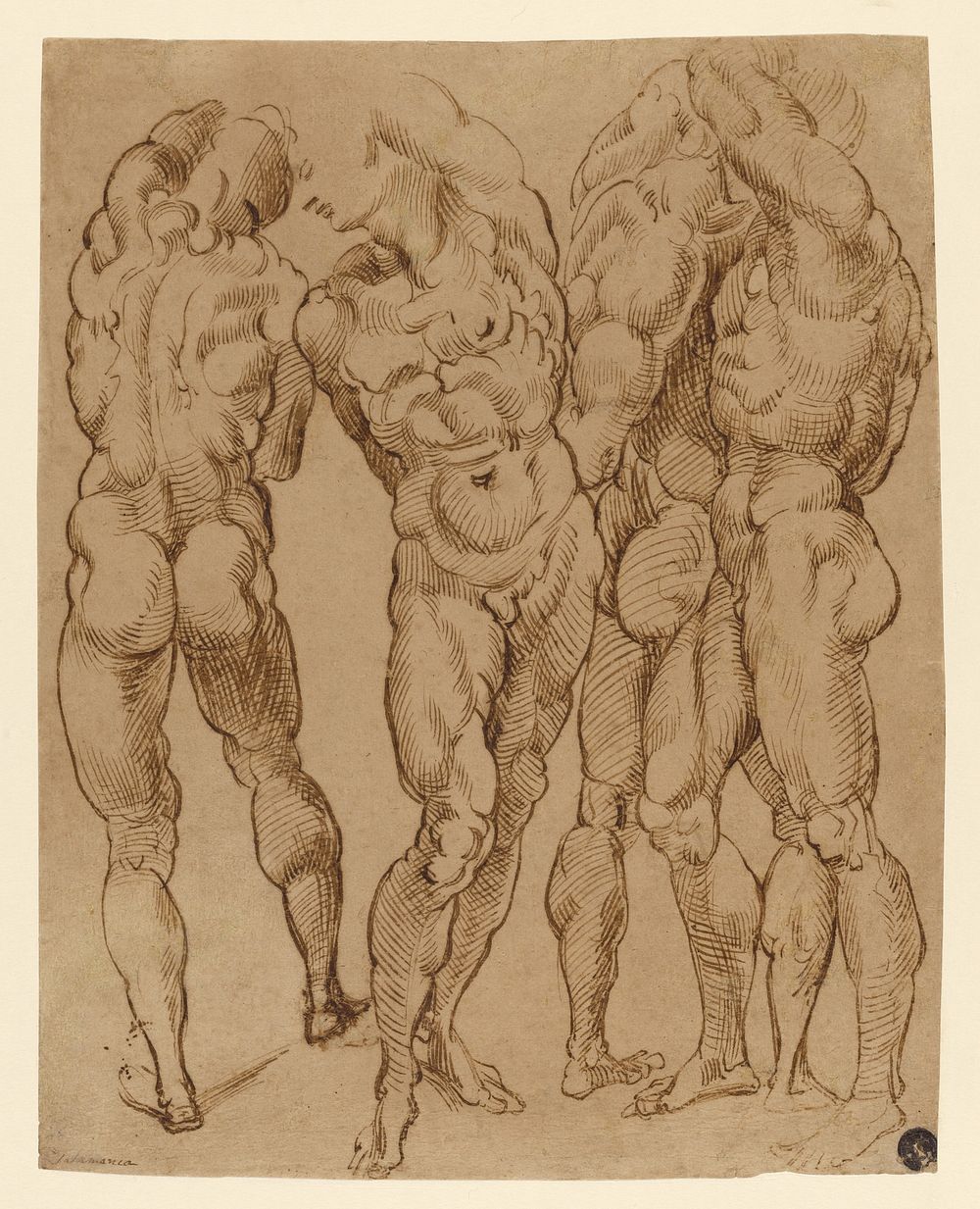 Nude Studies by Bartolomeo Passarotti
