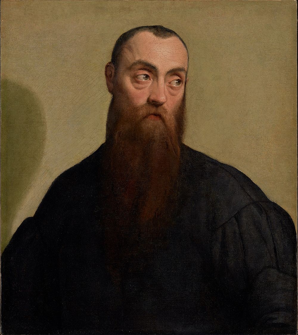 Portrait of a Bearded Man by Jacopo Bassano