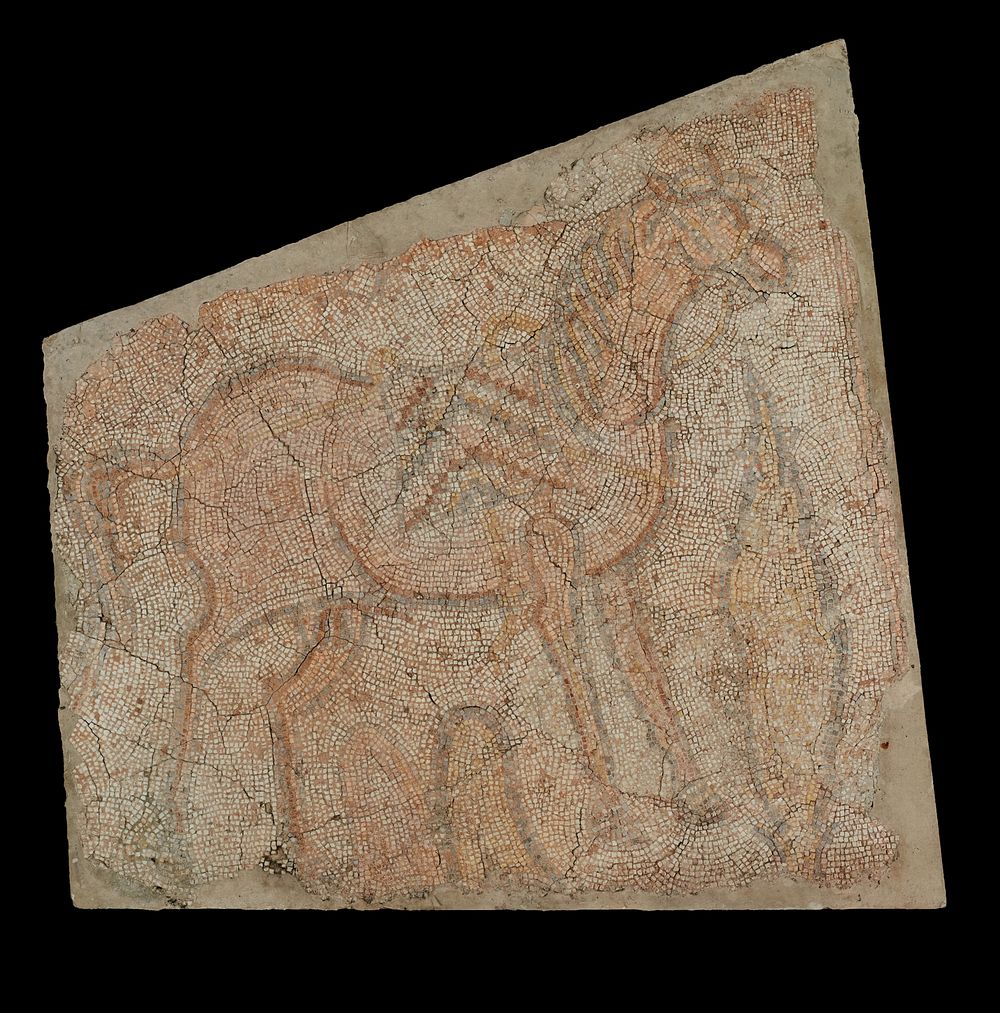Mosaic of a Horse with Saddle