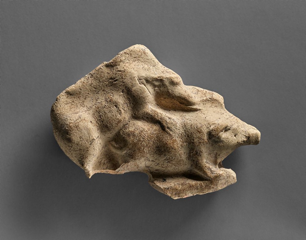 Relief of Two Copulating Pigs