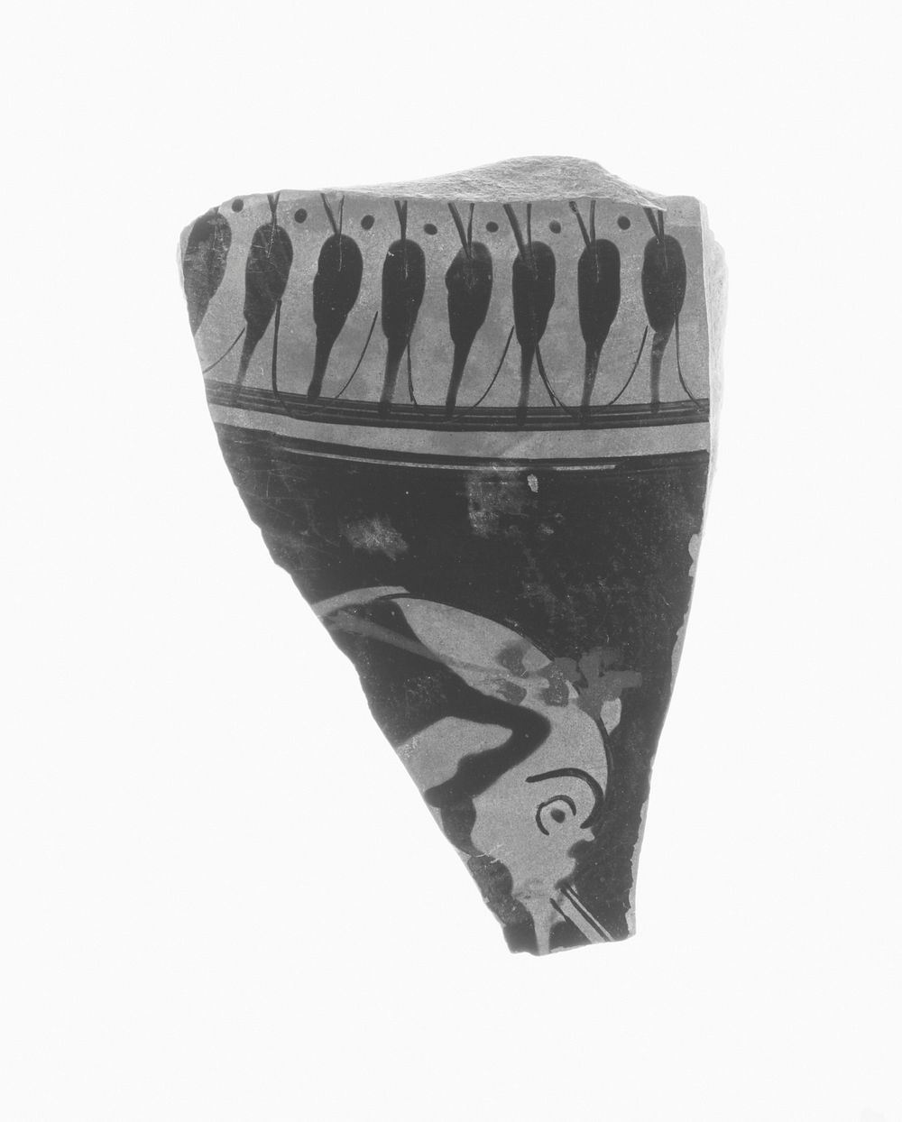 Attic Red-Figure Amphora or Pelike Fragment