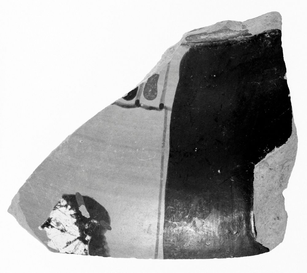 Attic Black-Figure Panel Amphora Fragment