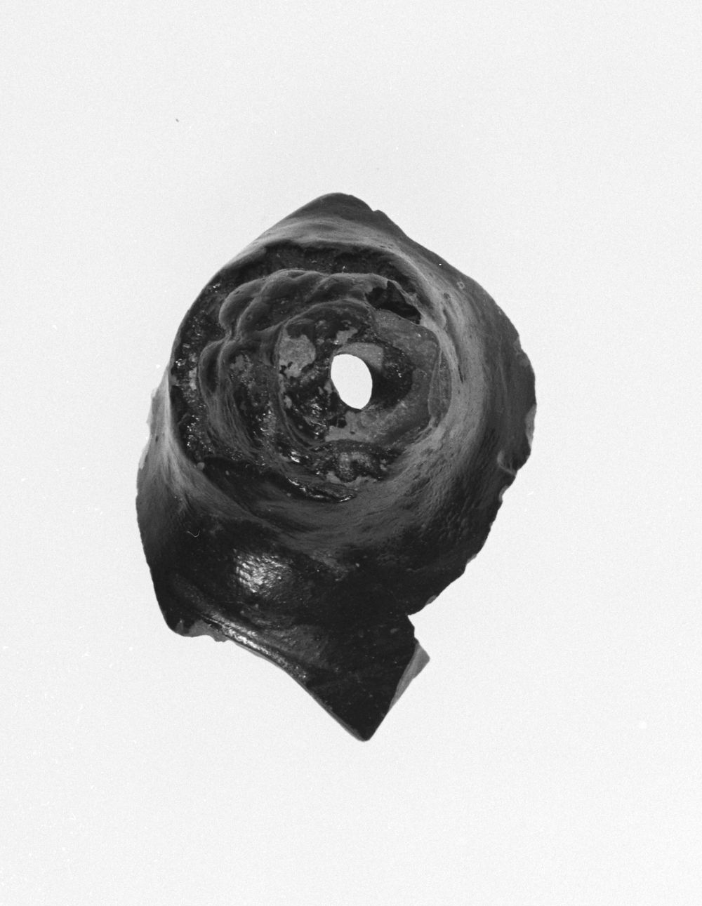Vase Fragment