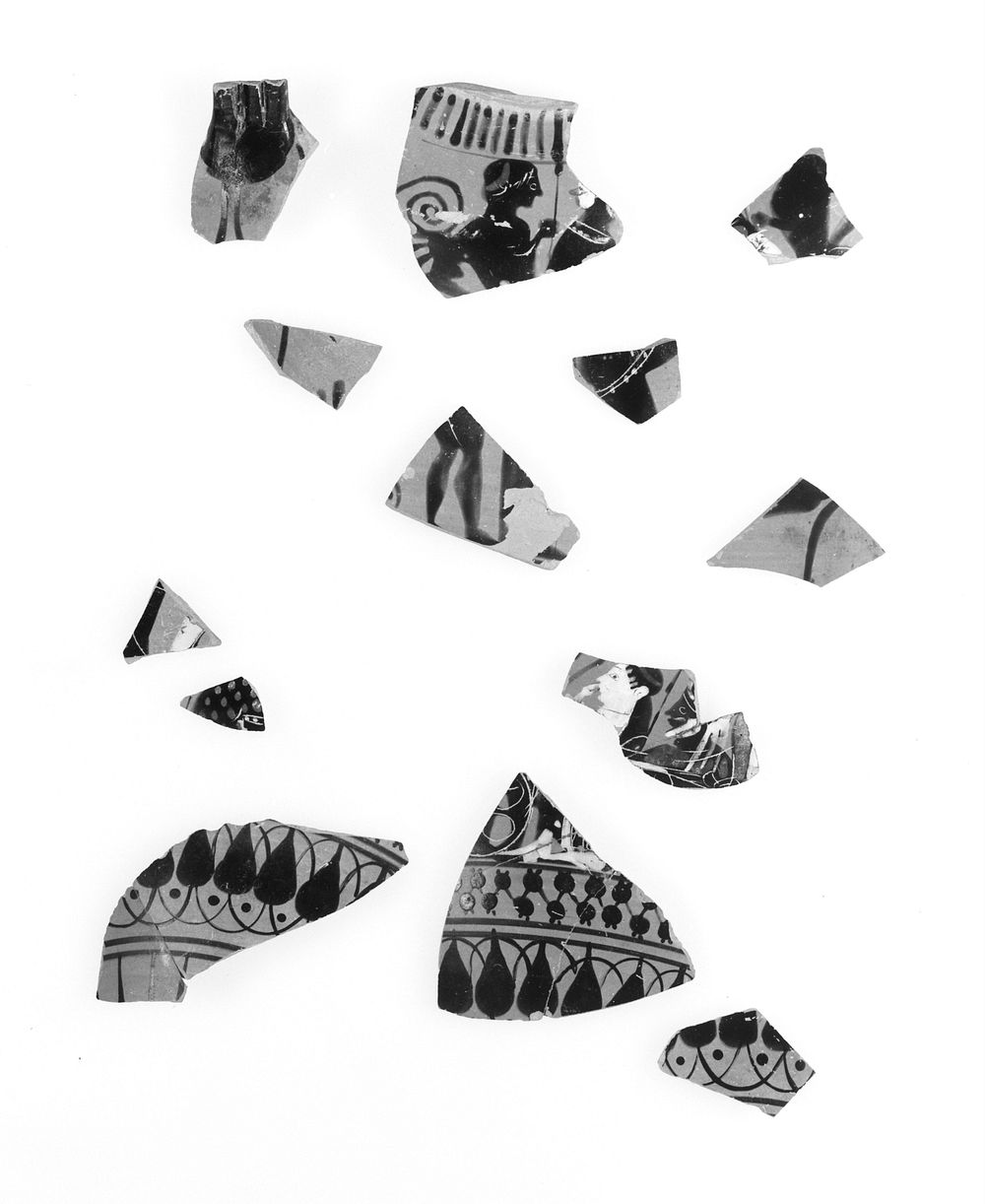 Attic Black-Figure Neck Amphora Fragments (13)