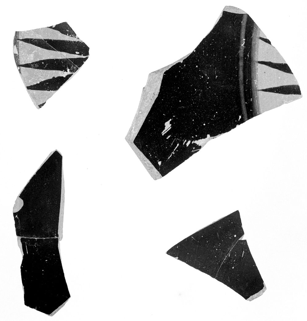 Attic Black-Figure Neck Amphora Fragment by Swing Painter