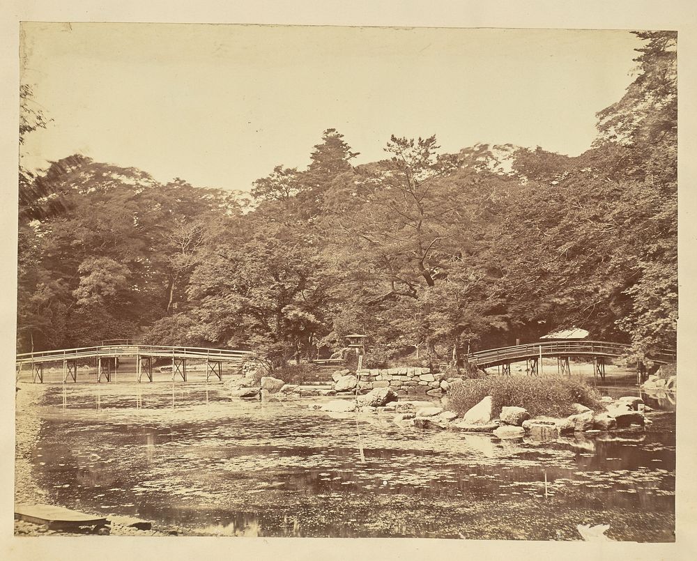 Pond at a Japanese temple