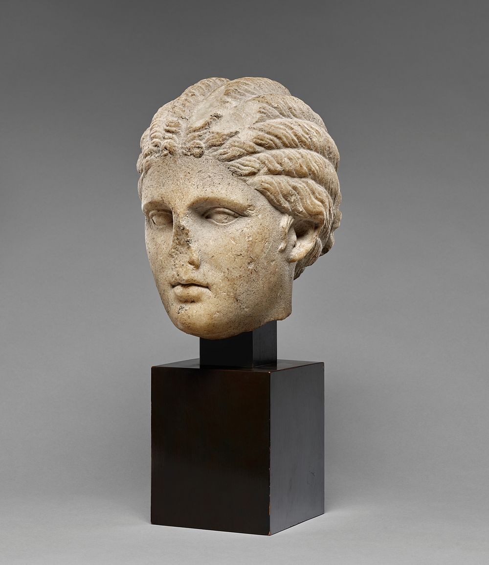 Head of a Young Woman (Small Herculaneum Woman type)
