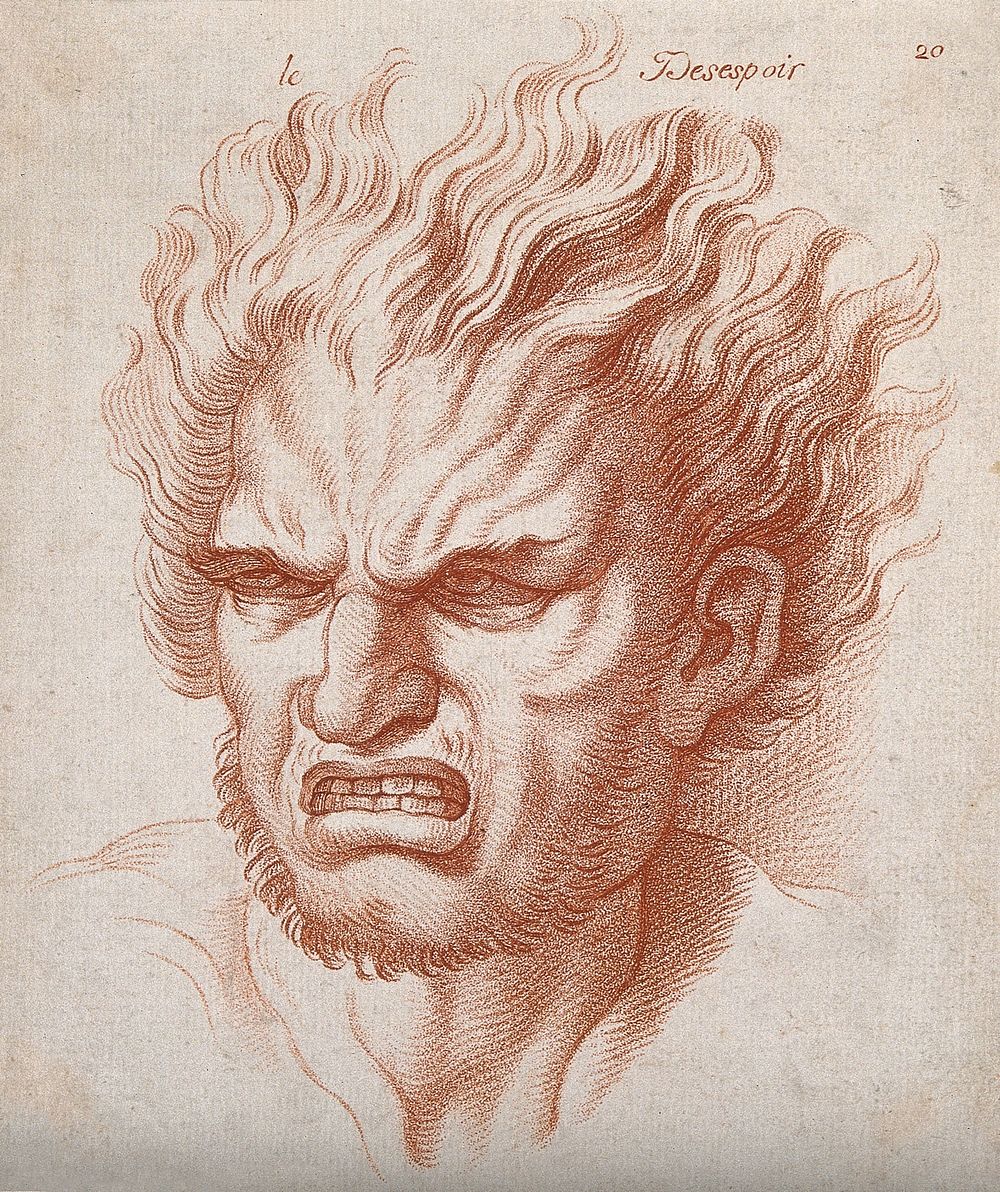 A face with hair on end expressing despair. Crayon Manner print by W. Hebert, c. 1770, after C. Le Brun.