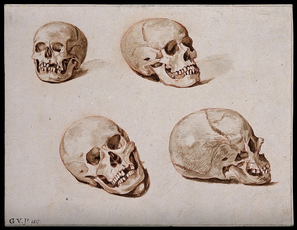 Four sketches of skulls. Watercolour, 1817.
