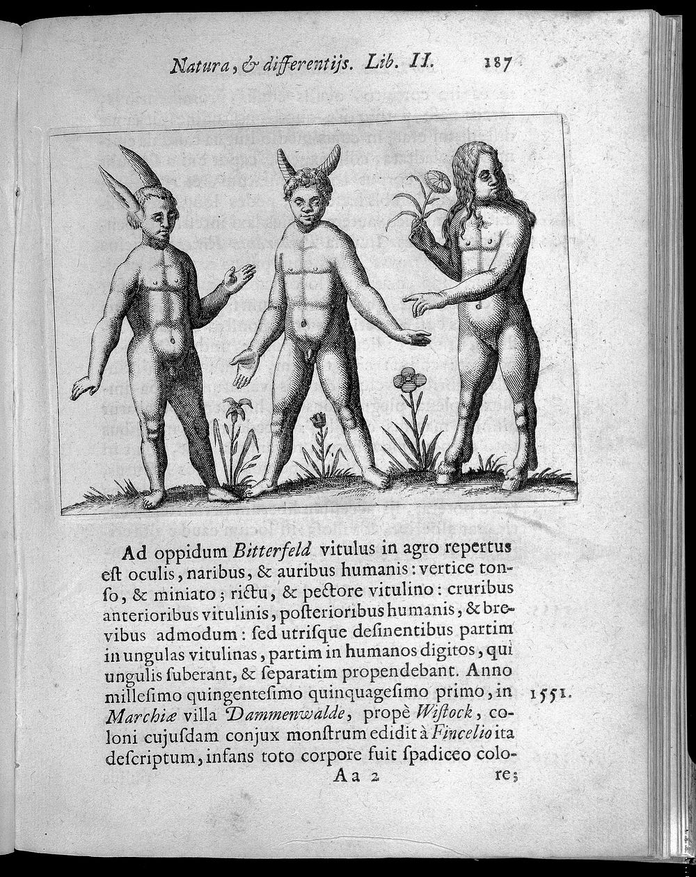Three figures with abnormalities, one figure has rabbit ears, one has horns and the other one has hooves