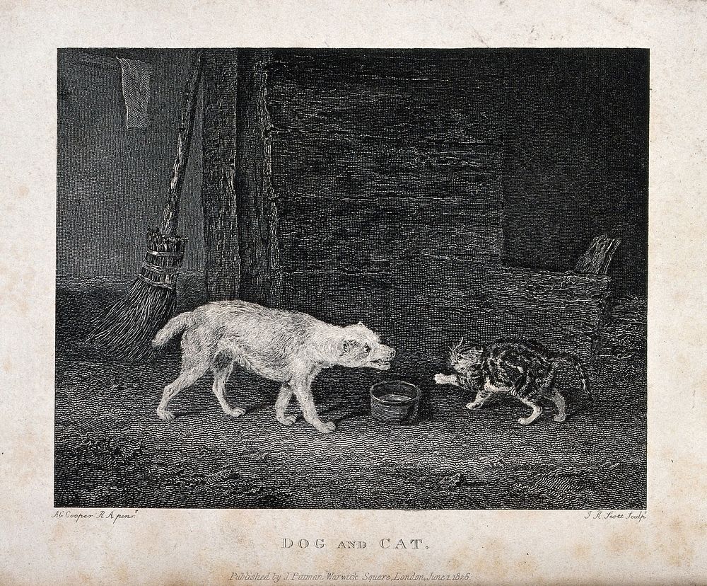 A cat hissing at a barking dog over a bowl of milk in a barn. Etching by J. R. Scott after A. Cooper.
