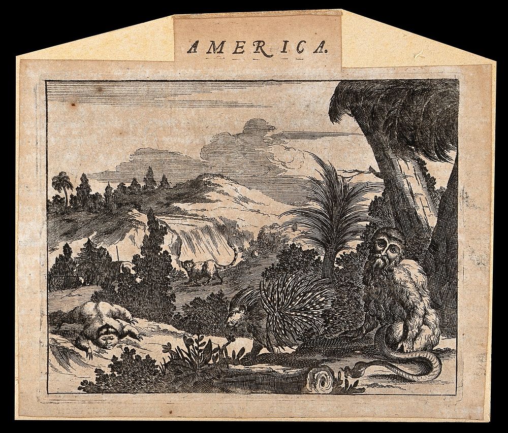 America: grotesque animals with human heads, serpents and a porcupine. Etching.