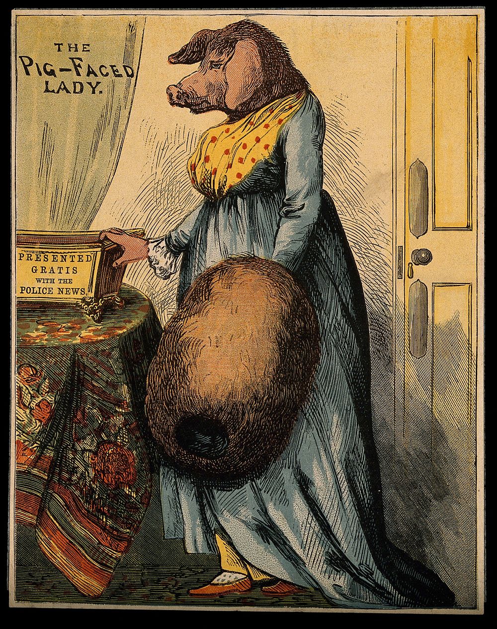 Miss Atkinson, a woman with a pig's head. Coloured wood engraving.