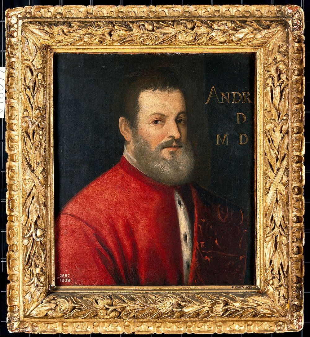 A man once designated as Andreas Vesalius (1514-1564), anatomist. Oil painting by a follower of a Venetian painter, 16th…