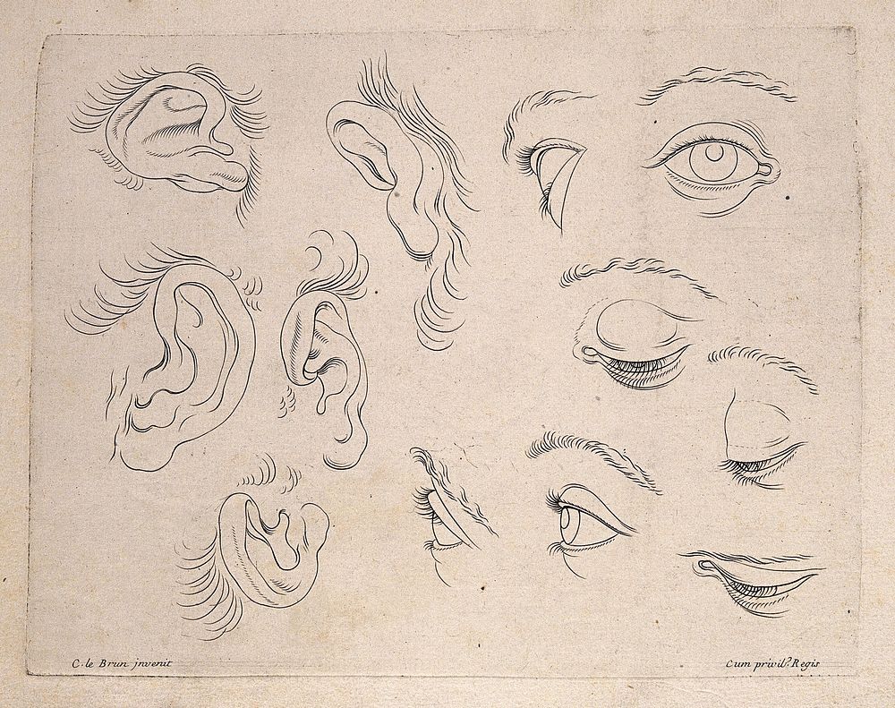 Designs of ears and eyes. Engraving after C. Le Brun.