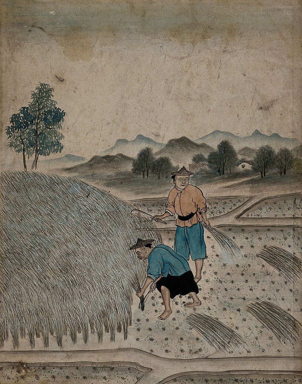 Chinese men harvesting. Gouache.
