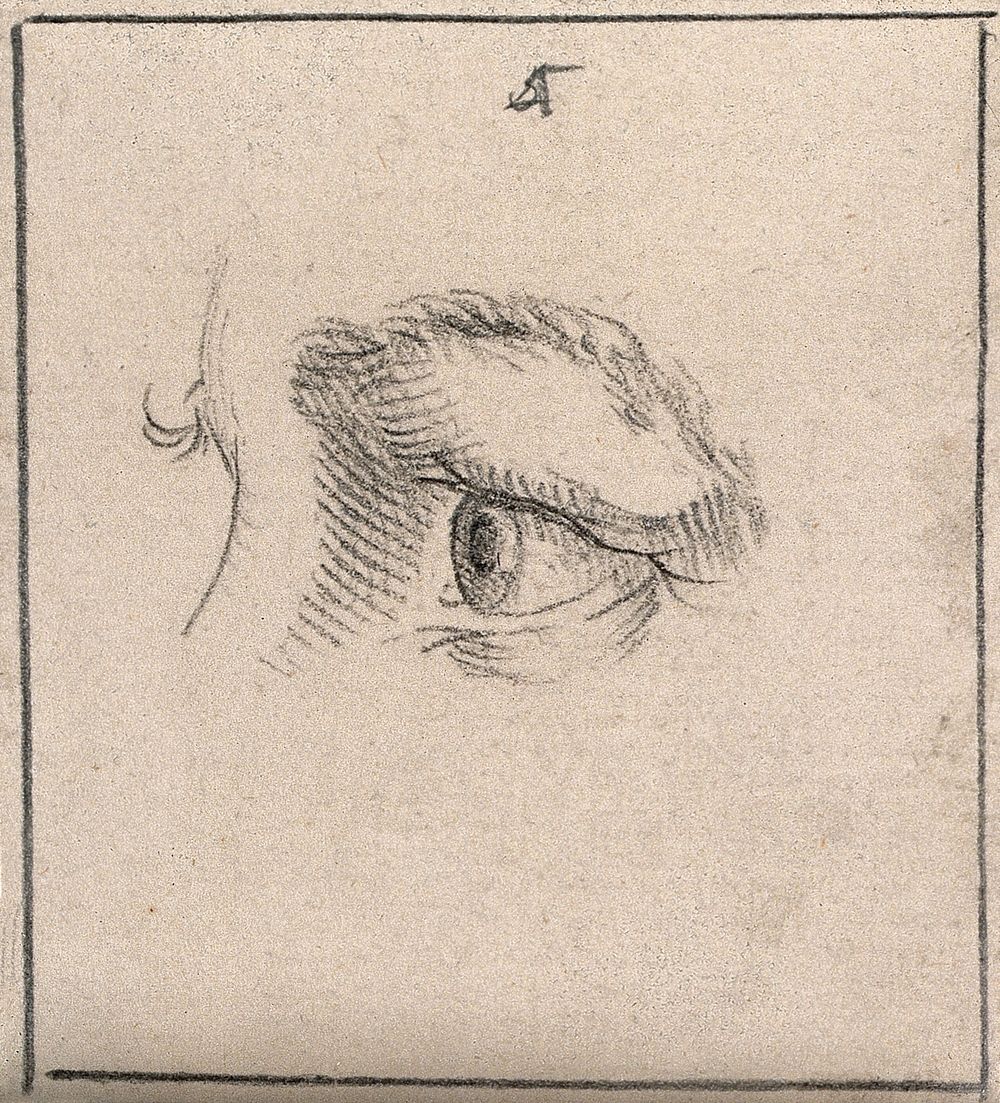 An eye; according to Lavater, belonging to a promising young man. Drawing, c. 1794.