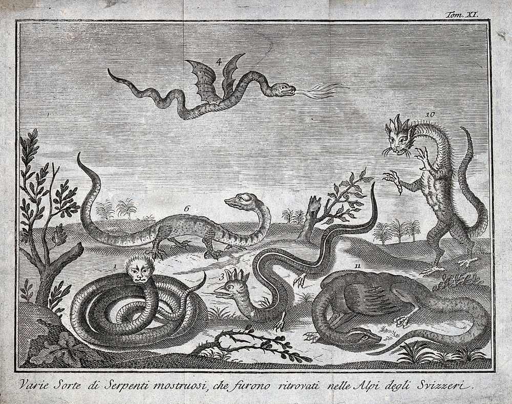 A variety of serpents and monstrous animals alleged to inhabit the Swiss Alps. Etching.