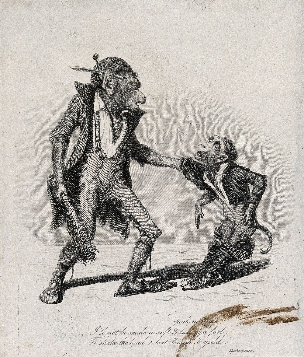 A large monkey dressed in rags is about to beat a smaller monkey with a bundle of brushwood. Etching by T. Landseer, 1827.