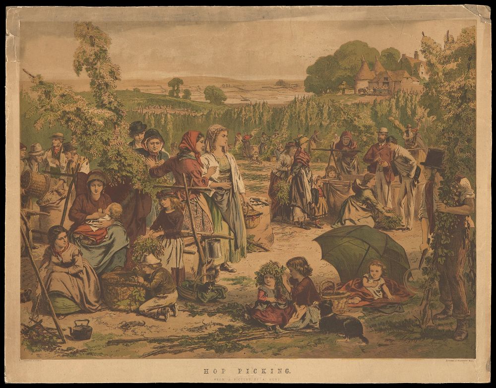 Hop pickers at work. Colour line block by Leighton Brothers after A. Hunt, 185-.