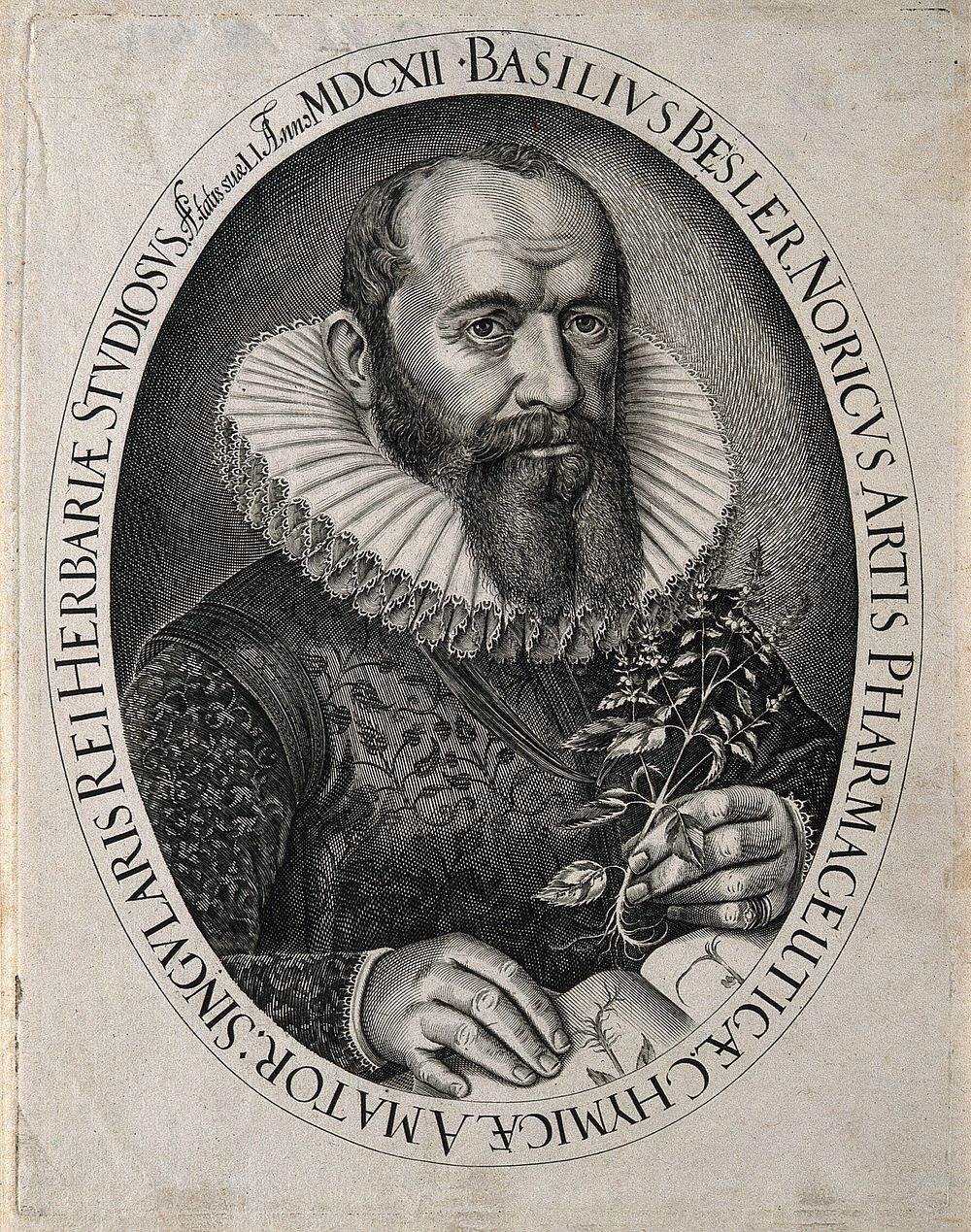 Basilius Besler. Line engraving by J. Leypolt, 1612.