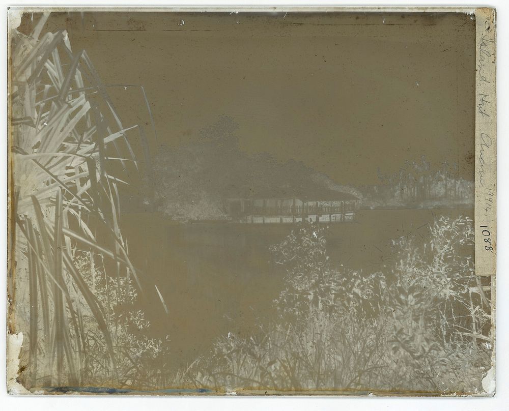 Annam, Cochin China [Vietnam]. Photograph by John Thomson, 1867.