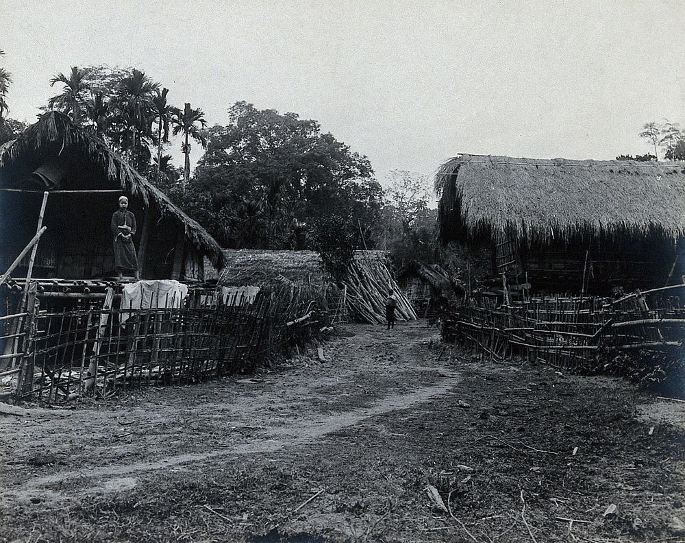India: an Ituni  village: grass-roofed houses on raised wooden platforms with two residents. Photograph, 1900/1920 .