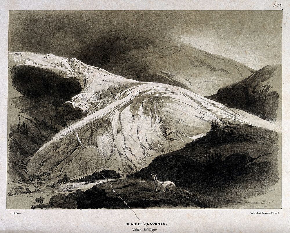 Geology: the Gorner glacier, in the Valais. Lithograph by J. Schmid after A. Calame.