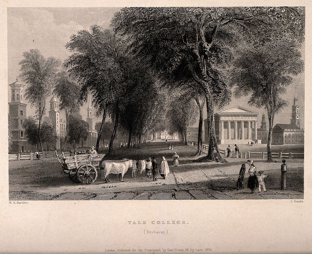 Yale College, New Haven, Connecticut: panoramic view. Etching by J. Sands, 1838, after W.H. Bartlett.
