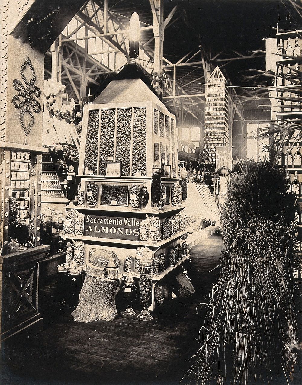 The 1904 World's Fair, St. Louis, Missouri: a Californian agricultural exhibit: Sacramento Valley almonds. Photograph, 1904.
