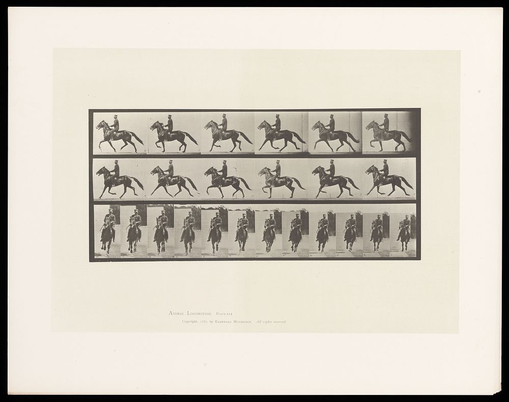 A clothed man riding a horse. Collotype after Eadweard Muybridge, 1887.