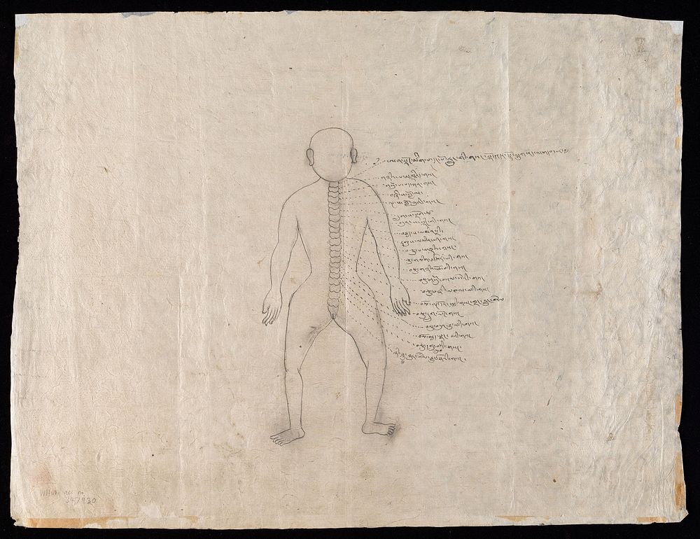 Human anatomy: three figures. Ink drawing, Tibet.