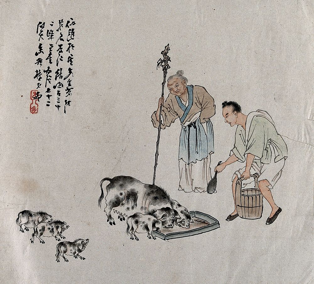 Two Chinese farmers feed a family of pigs. Gouache painting by a Chinese artist, ca. 1850.