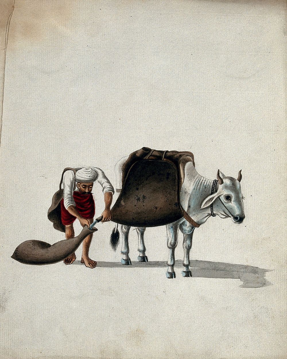 A man pouring water from large saddle bags on a cow into smaller water pouches. Gouache painting by an Indian artist.