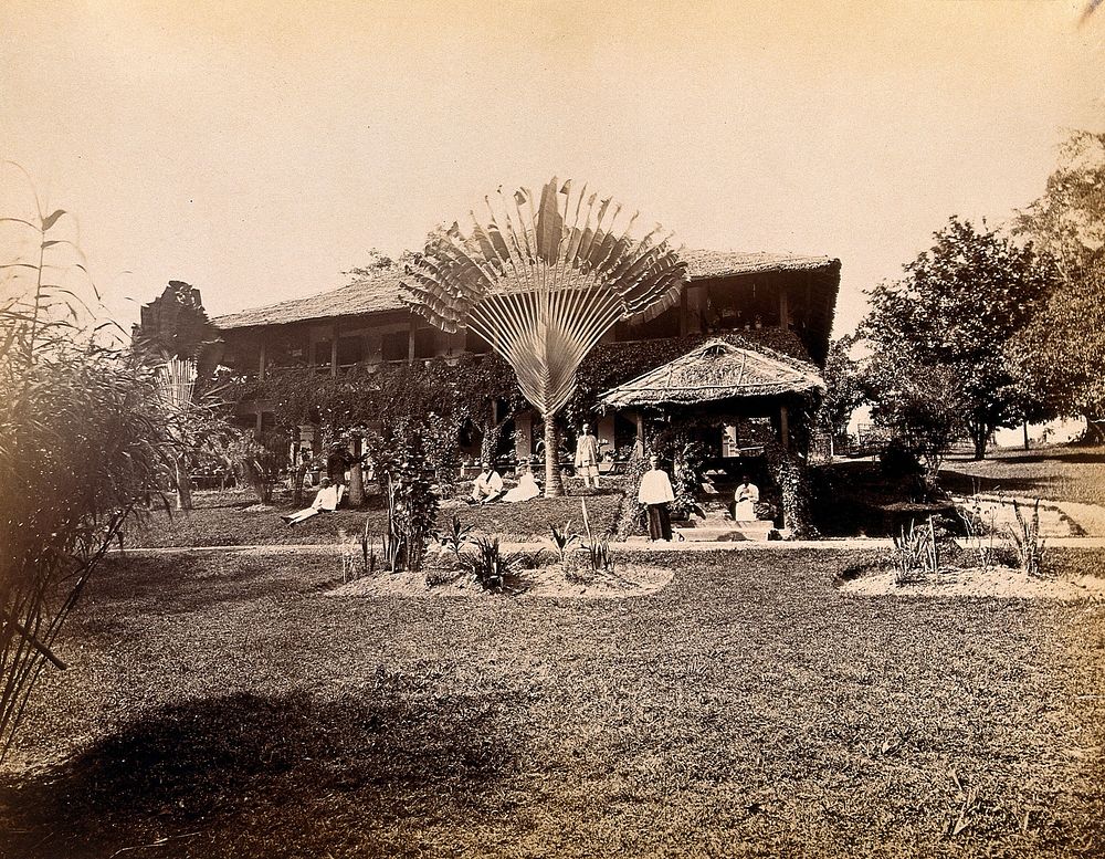 Singapore: a large bungalow with people having drinks in the garden around a large traveller's palm (Ravenala…