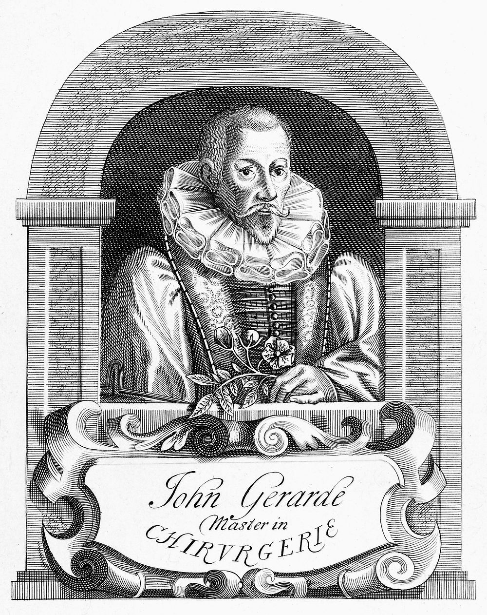 John Gerard. Line engraving by T. Berry after J. Payne, 1633.
