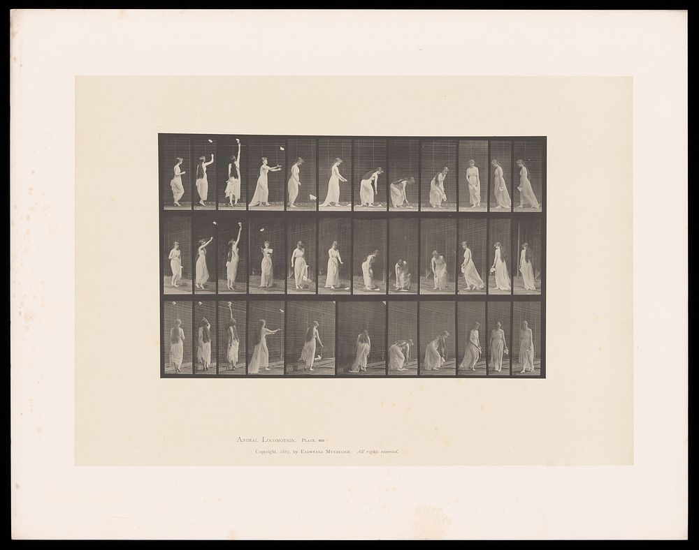 A clothed woman tries to catch a falling handkerchief then picks it up from the ground. Collotype after Eadweard Muybridge…